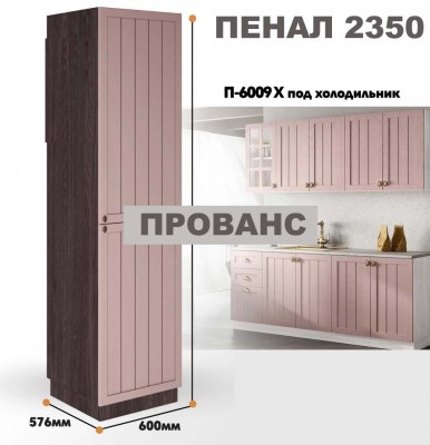 provans_p_6009 x_11